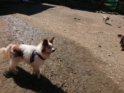 f:id:roukenhome-ann:20190420181655j:plain