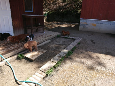 f:id:roukenhome-ann:20190420181702j:plain
