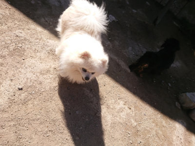 f:id:roukenhome-ann:20190420181740j:plain