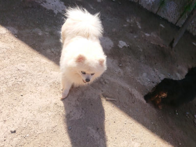 f:id:roukenhome-ann:20190420181758j:plain