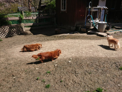 f:id:roukenhome-ann:20190420181831j:plain