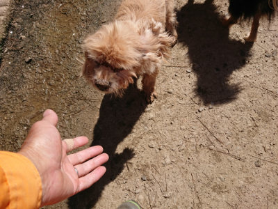 f:id:roukenhome-ann:20190420181905j:plain