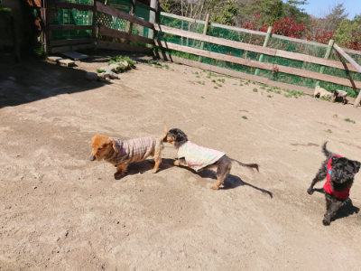 f:id:roukenhome-ann:20190420182058j:plain