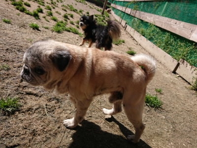 f:id:roukenhome-ann:20190420182111j:plain