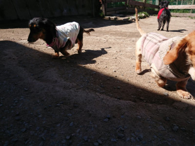 f:id:roukenhome-ann:20190420182210j:plain