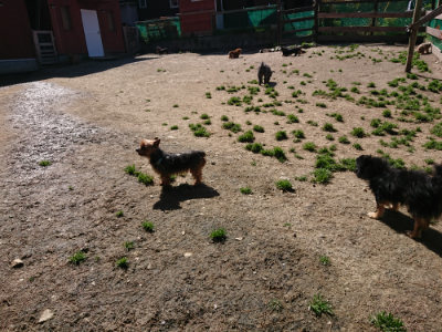 f:id:roukenhome-ann:20190420182244j:plain