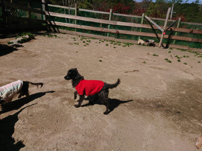 f:id:roukenhome-ann:20190420182249j:plain