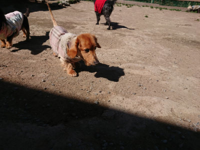f:id:roukenhome-ann:20190420182309j:plain