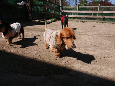 f:id:roukenhome-ann:20190420182314j:plain