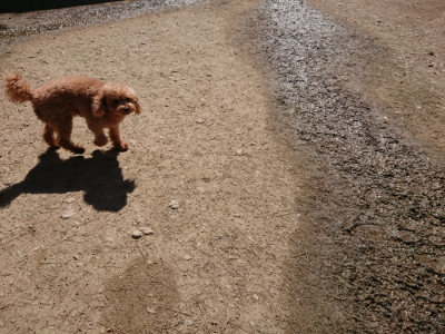f:id:roukenhome-ann:20190420182323j:plain