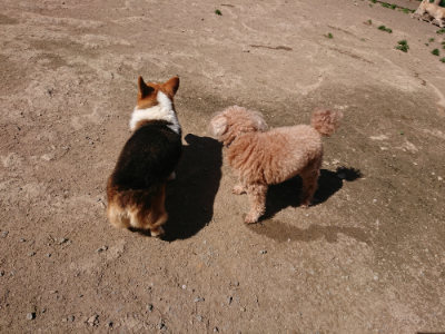 f:id:roukenhome-ann:20190420182328j:plain