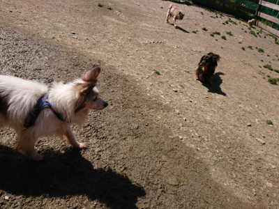 f:id:roukenhome-ann:20190420182334j:plain