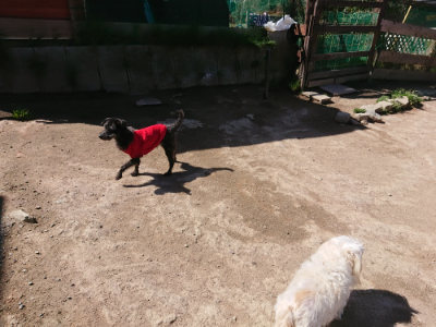 f:id:roukenhome-ann:20190420182528j:plain