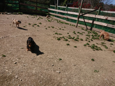 f:id:roukenhome-ann:20190420182534j:plain