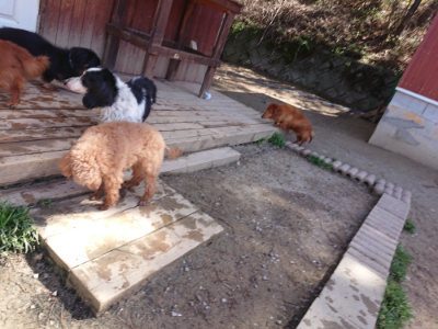 f:id:roukenhome-ann:20190420182538j:plain