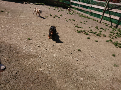 f:id:roukenhome-ann:20190420182557j:plain