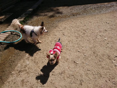 f:id:roukenhome-ann:20190420182601j:plain