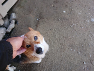 f:id:roukenhome-ann:20190420182833j:plain