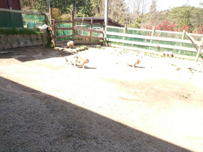 f:id:roukenhome-ann:20190420182854j:plain