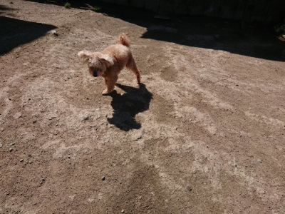 f:id:roukenhome-ann:20190420182921j:plain