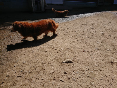 f:id:roukenhome-ann:20190420182938j:plain