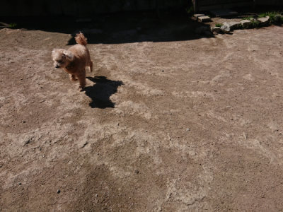 f:id:roukenhome-ann:20190420182947j:plain