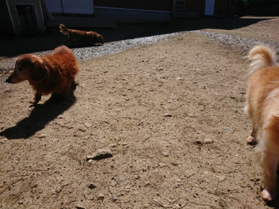f:id:roukenhome-ann:20190420182952j:plain