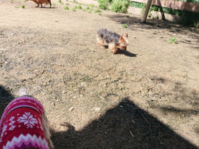 f:id:roukenhome-ann:20190420182957j:plain