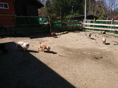 f:id:roukenhome-ann:20190420183026j:plain