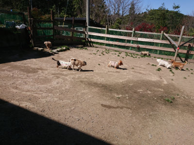 f:id:roukenhome-ann:20190420183057j:plain