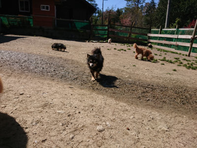 f:id:roukenhome-ann:20190420183103j:plain