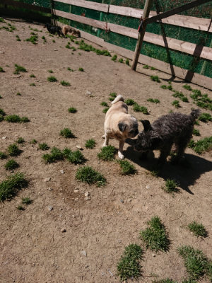 f:id:roukenhome-ann:20190420183549j:plain