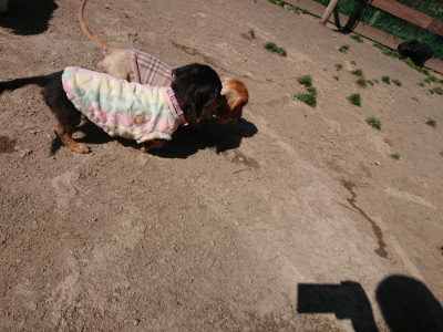 f:id:roukenhome-ann:20190420183616j:plain