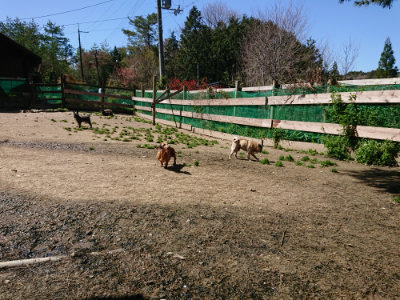 f:id:roukenhome-ann:20190420183630j:plain