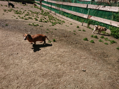 f:id:roukenhome-ann:20190420183659j:plain