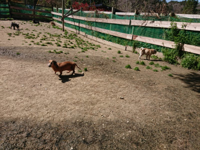 f:id:roukenhome-ann:20190420183729j:plain