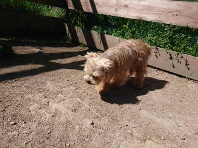 f:id:roukenhome-ann:20190420183746j:plain