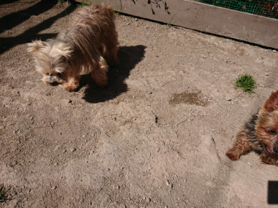 f:id:roukenhome-ann:20190420183757j:plain