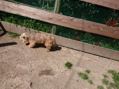 f:id:roukenhome-ann:20190420183831j:plain