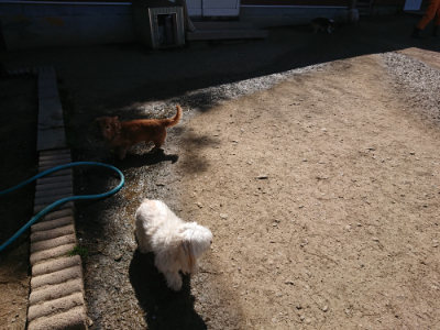 f:id:roukenhome-ann:20190420183905j:plain