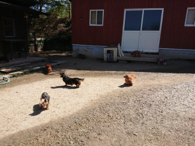 f:id:roukenhome-ann:20190420183928j:plain