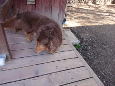 f:id:roukenhome-ann:20190420183938j:plain
