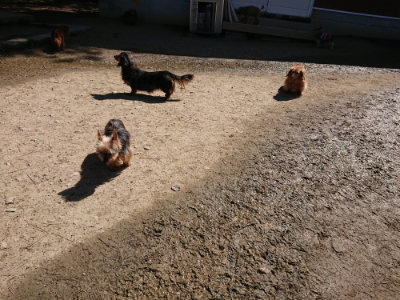 f:id:roukenhome-ann:20190420183950j:plain