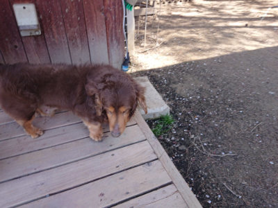 f:id:roukenhome-ann:20190420183956j:plain