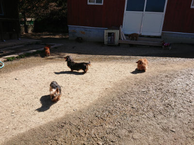 f:id:roukenhome-ann:20190420184001j:plain