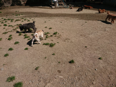f:id:roukenhome-ann:20190420184021j:plain