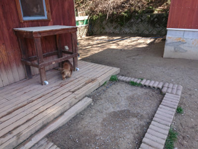 f:id:roukenhome-ann:20190420184032j:plain