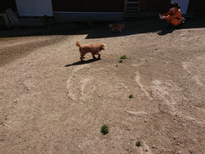 f:id:roukenhome-ann:20190420184039j:plain