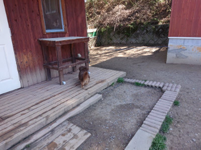 f:id:roukenhome-ann:20190420184049j:plain