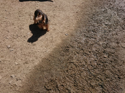 f:id:roukenhome-ann:20190420184105j:plain